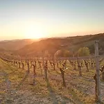 In Monferrato With Wine Tasting