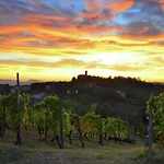In Monferrato With Wine Tasting Apartamento *
