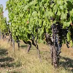 Apartamento In Monferrato With Wine Tasting