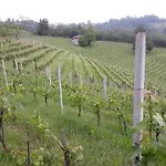 In Monferrato With Wine Tasting Tagliolo Monferrato