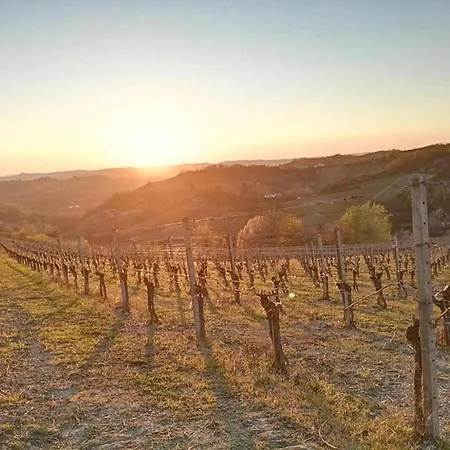 In Monferrato With Wine Tasting