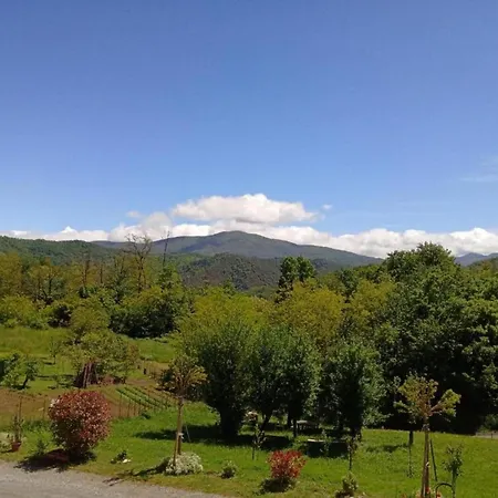 Appartement In Monferrato With Wine Tasting