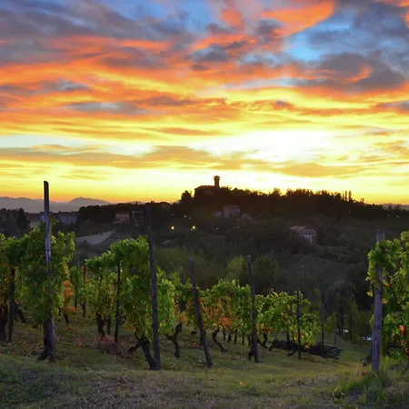 In Monferrato With Wine Tasting Appartement *