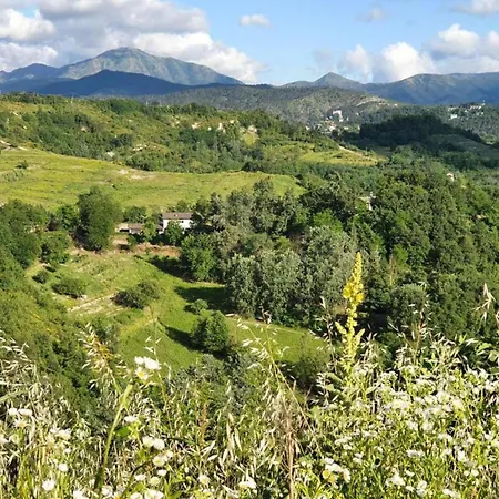 In Monferrato With Wine Tasting Apartmán Tagliolo Monferrato