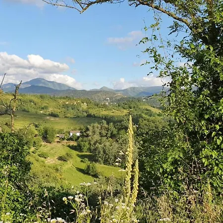 In Monferrato With Wine Tasting Apartmán *