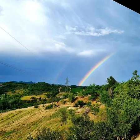 In Monferrato With Wine Tasting Tagliolo Monferrato