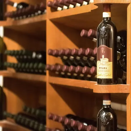 Apartmán In Monferrato With Wine Tasting