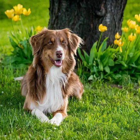 Appartement In Monferrato With Wine Tasting Tagliolo Monferrato