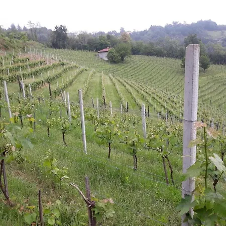 In Monferrato With Wine Tasting Tagliolo Monferrato