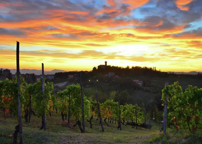 In Monferrato With Wine Tasting Apartment *